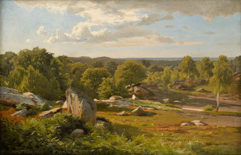 Rugen landscape